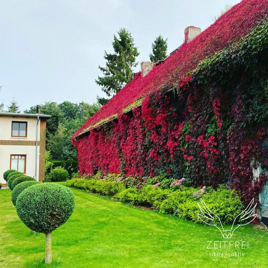 Zeitfrei Urlaubsappartememts & Veranstaltungsort Steffenshagen エクステリア 写真